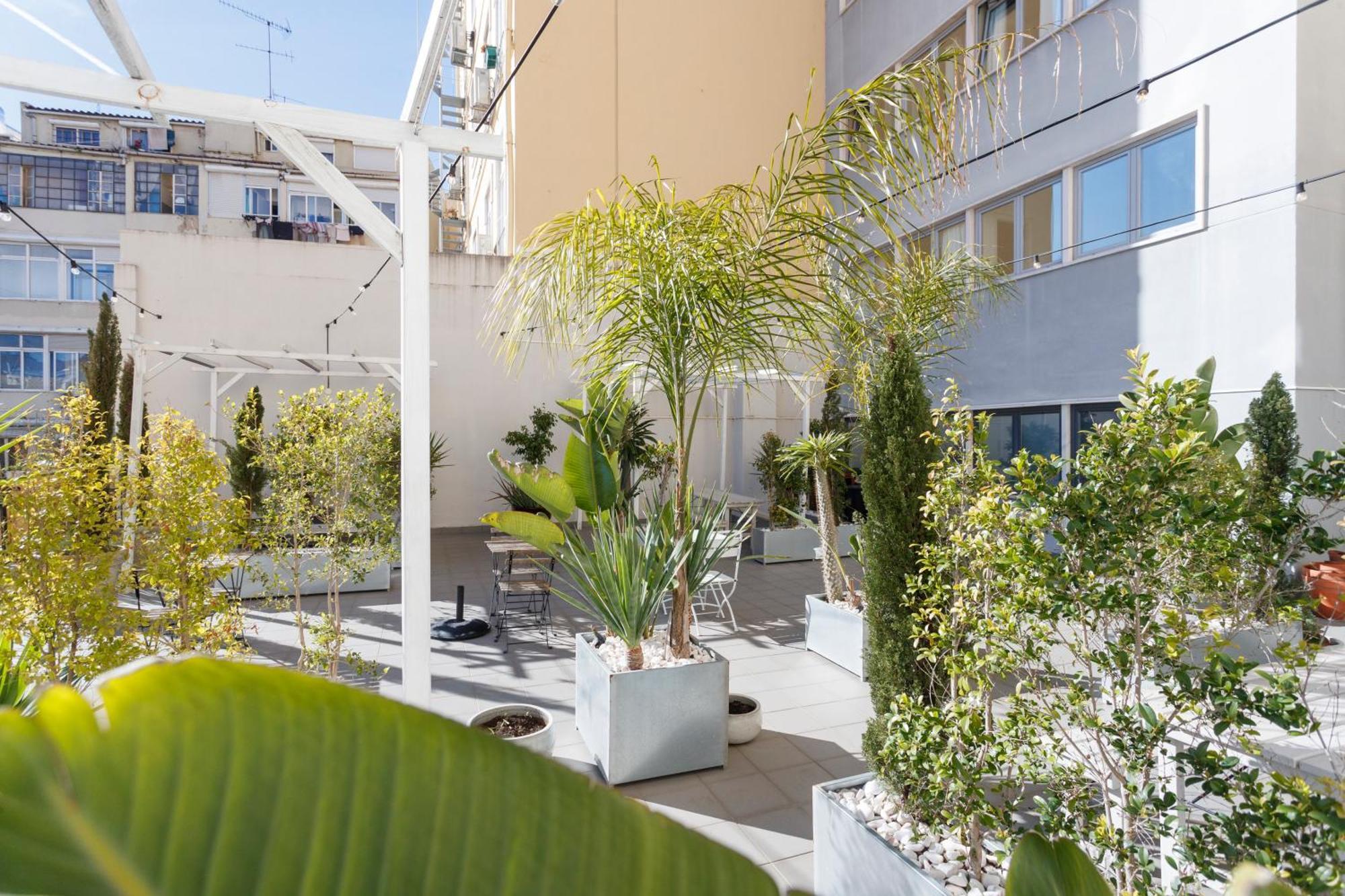 Prosecco Lifestyle In By Misha's Place 4b Apartment *