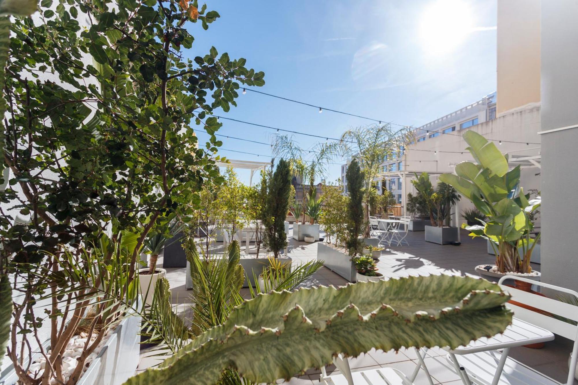Apartment Prosecco Lifestyle In By Misha's Place 4b Lisbon